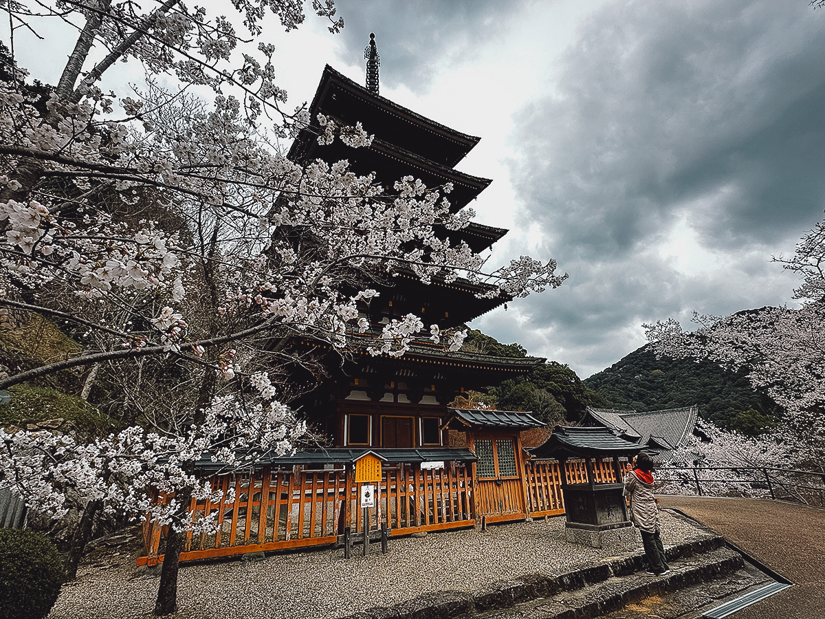 Kintetsu Rail Pass Hasedera