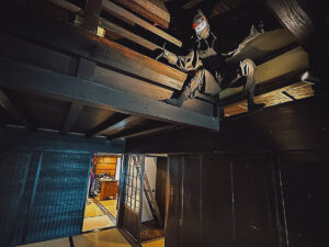 Inside the Koka Ninja House