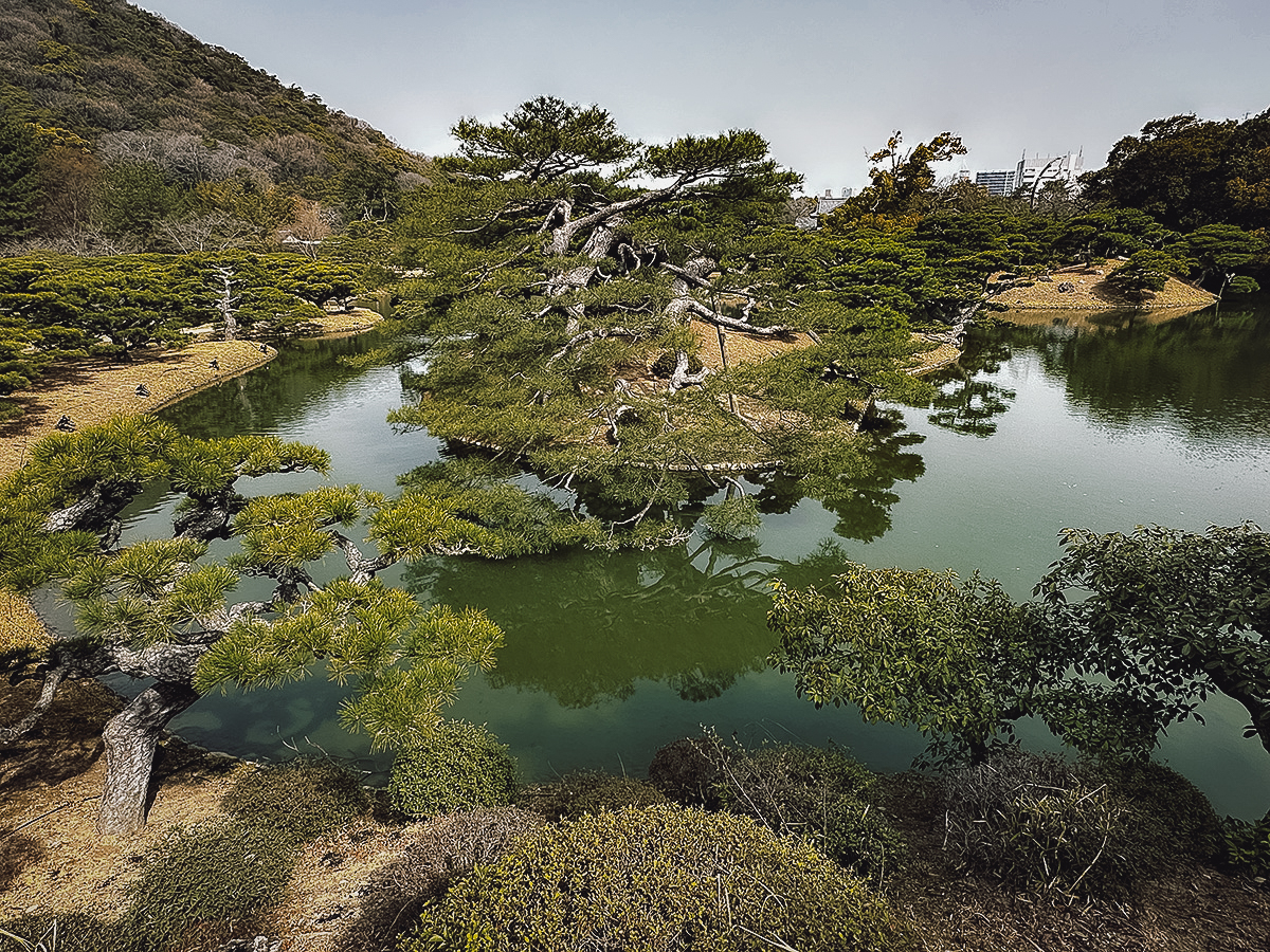 Elevated view of one of the ponds at Ritsurin Koen