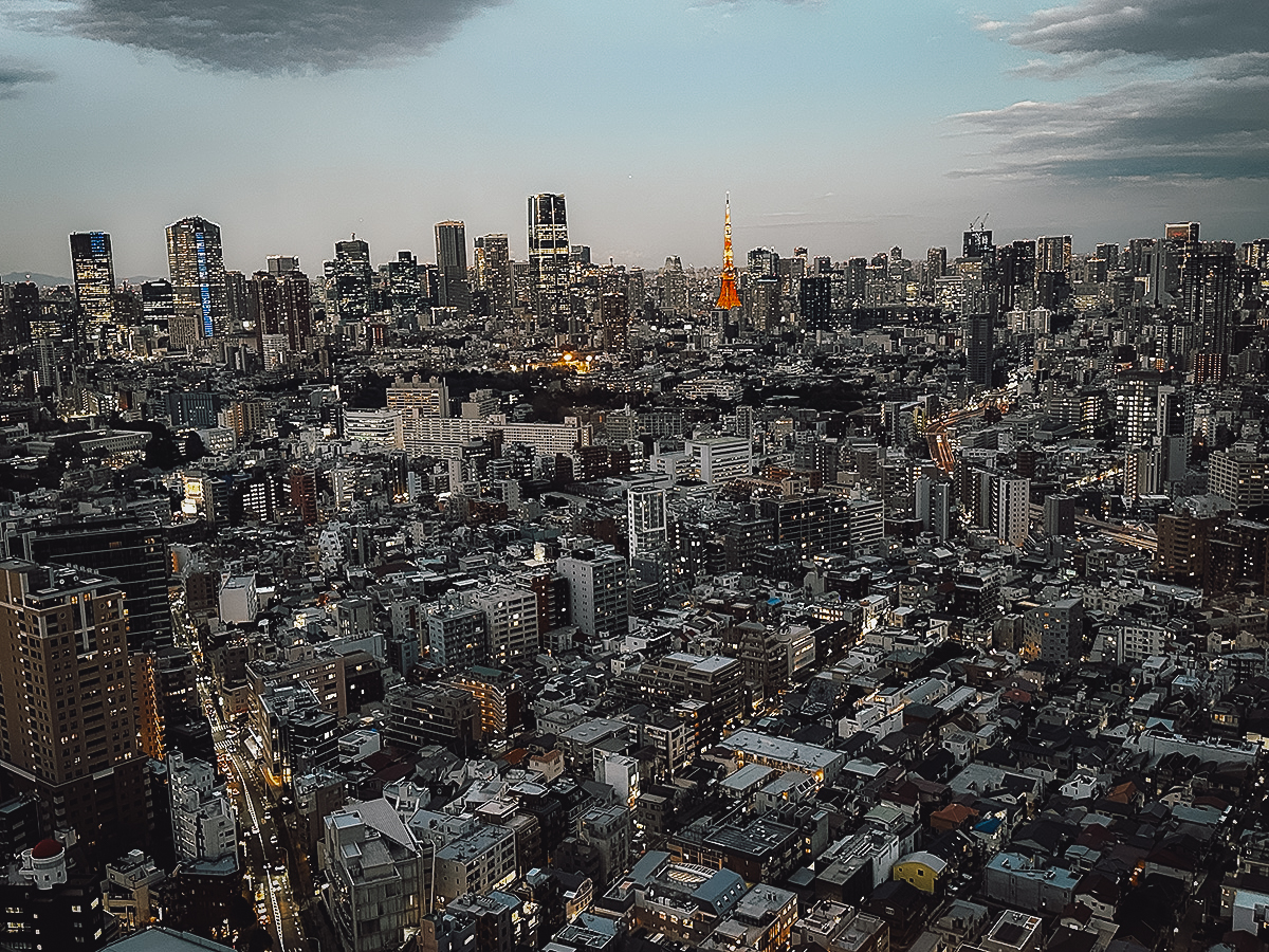 View from Top of Yebisu observation deck