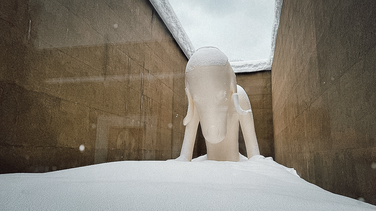 Large dog sculpture at the Aomori Museum of Art