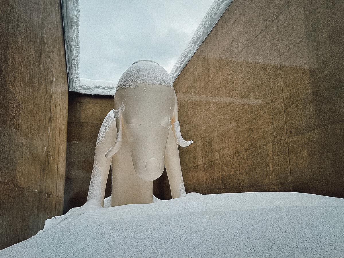 Colossal dog sculpture at the Aomori Museum of Art