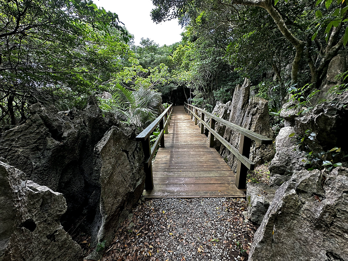 Short wooden bridge