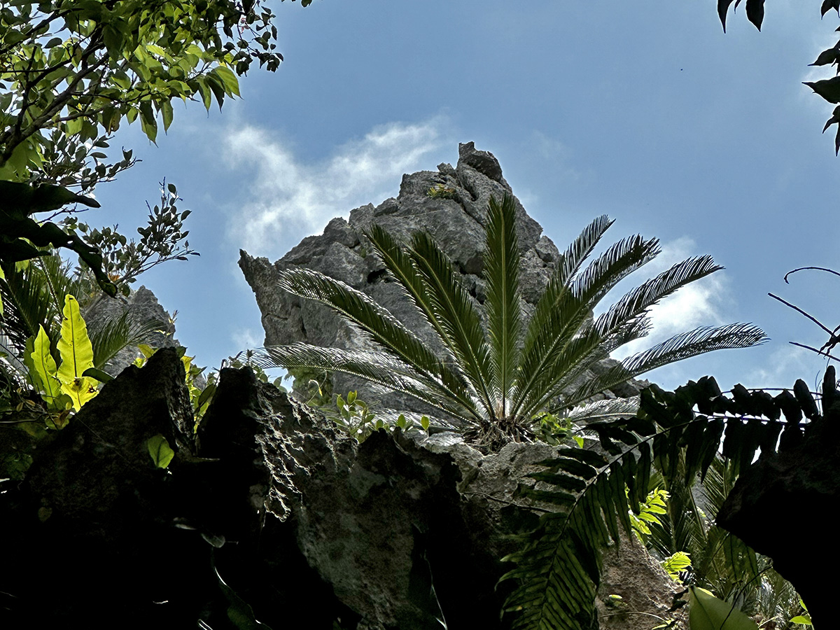Interesting rock formation