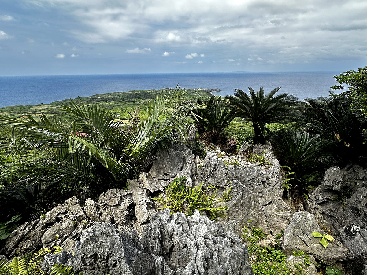 Beautiful ocean view