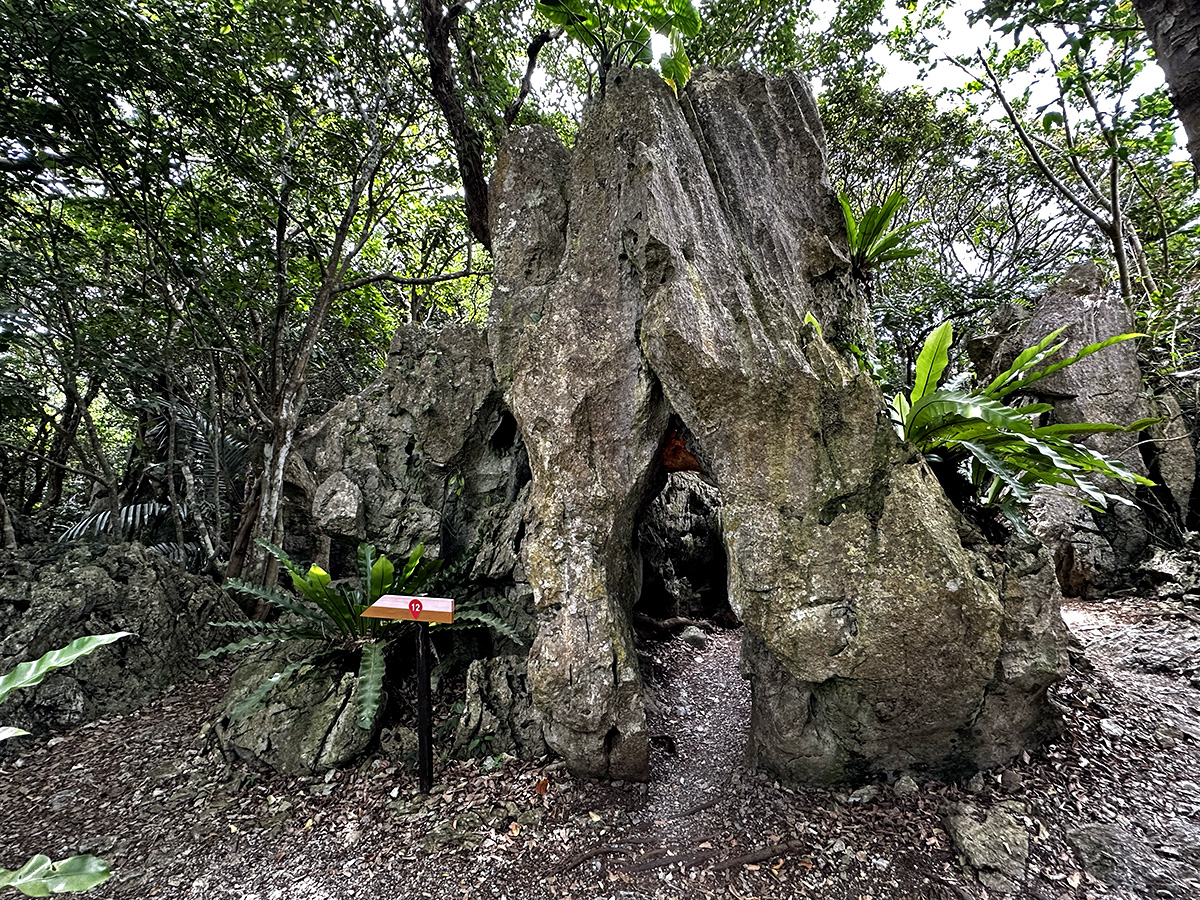 Large rock with a hole in the middle