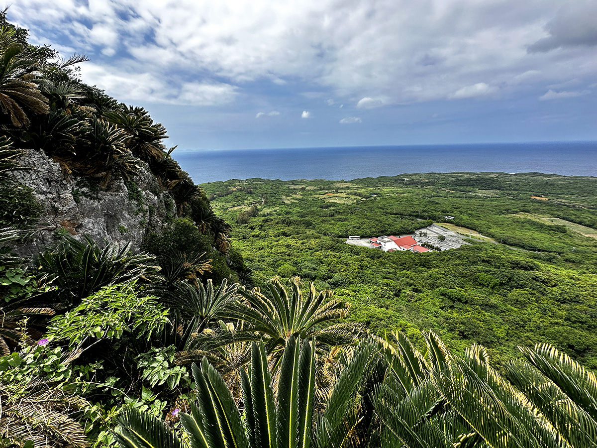 View of the Stone Museum and ocean from an elevated viewpoint