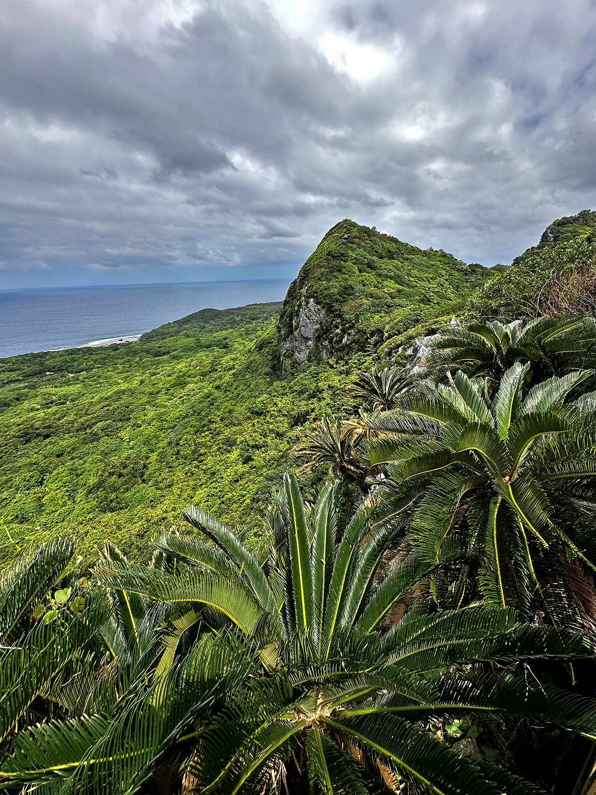 View of the ocean from an elevated viewpoint