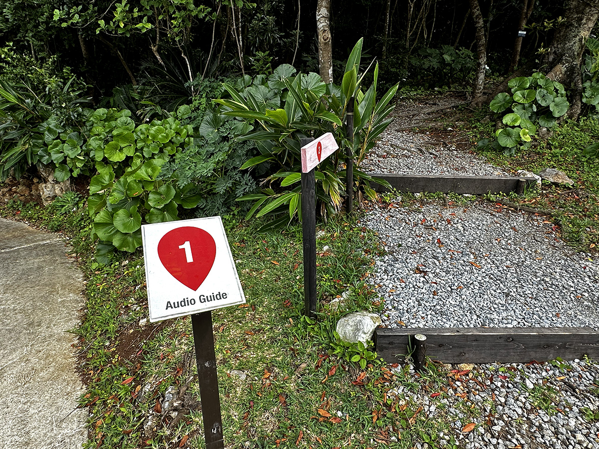 Marker at the start of the regular course
