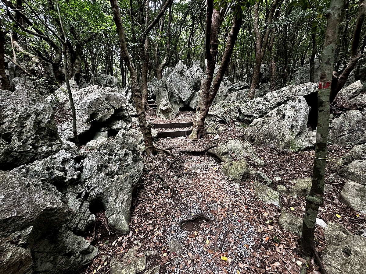 Regular course trail