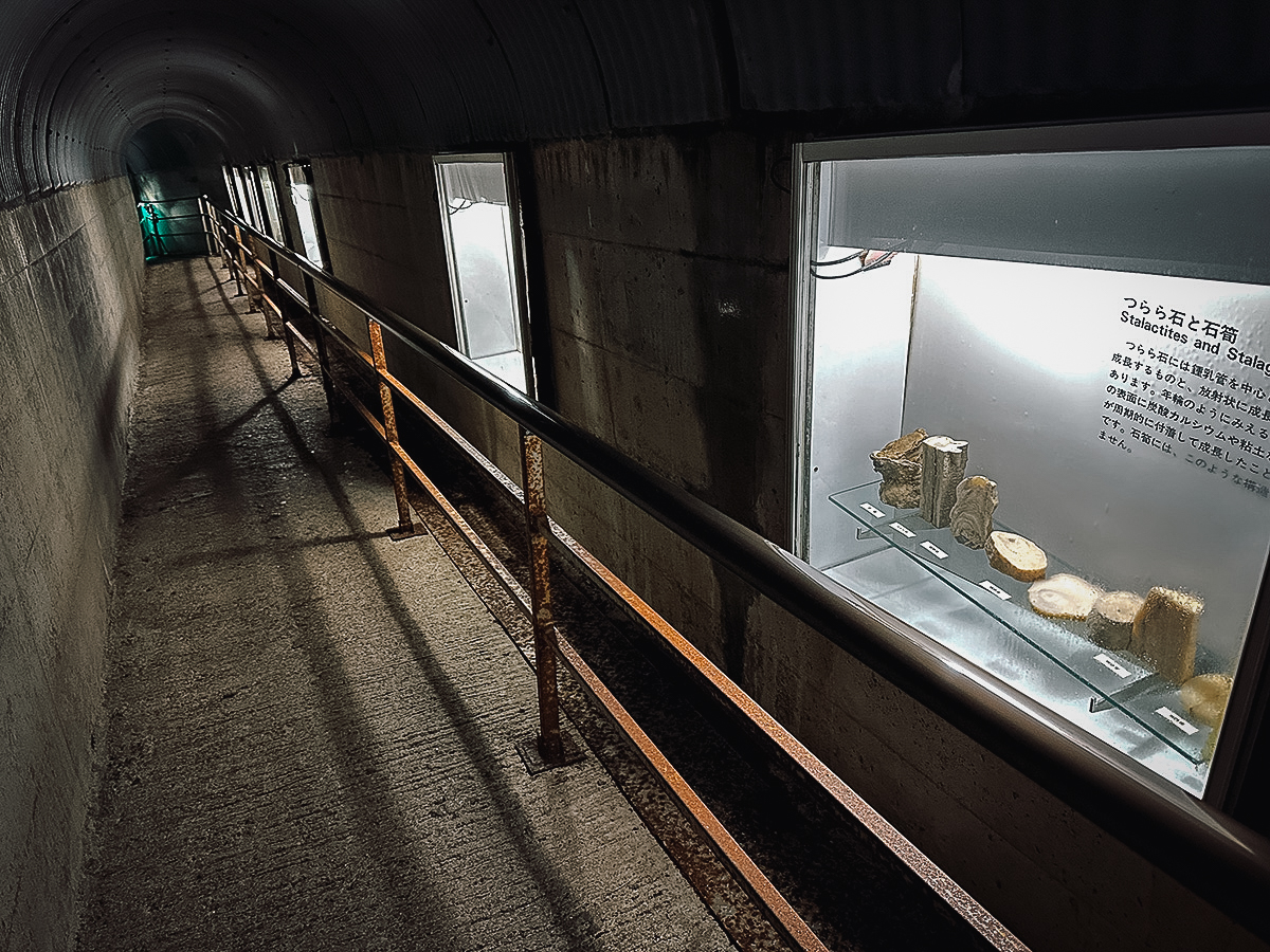 Tunnel with exhibits