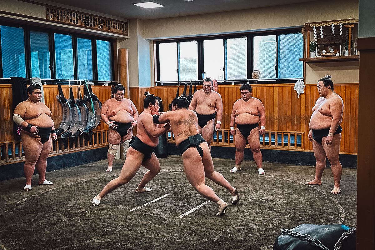 Sumo wrestlers during a training session