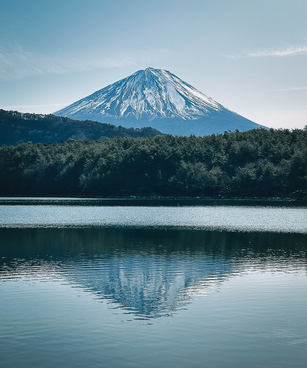 Mt Fuji and its reflection on Lake Saiko
