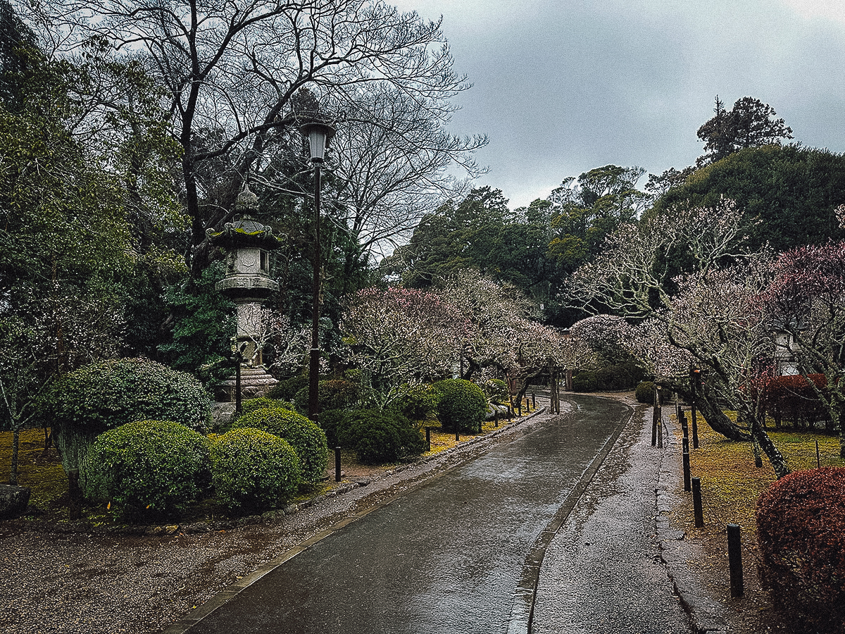 Narita Travel Guide Naritasan Park on a rainy day