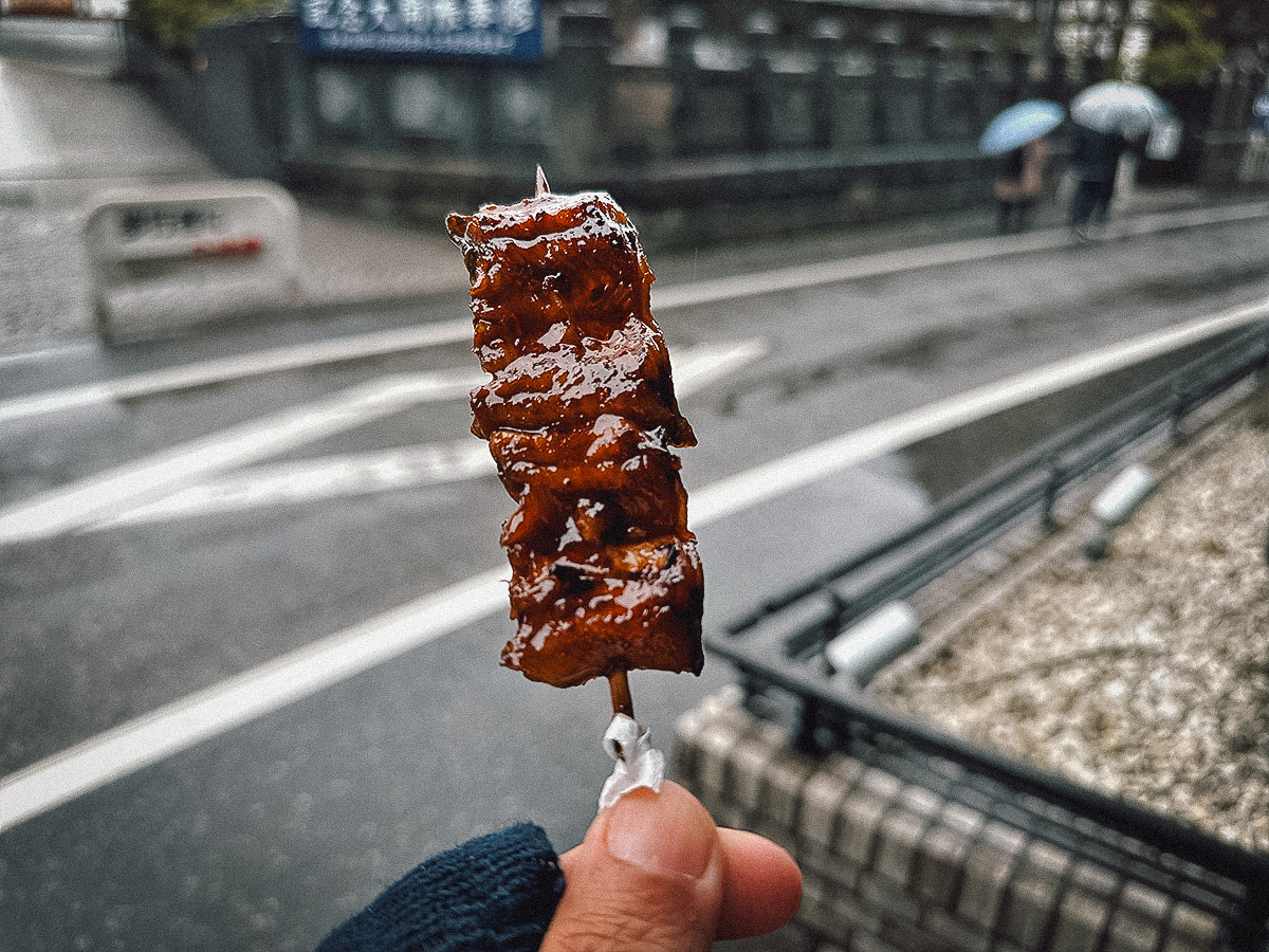 Narita Travel Guide Skewer of unagi