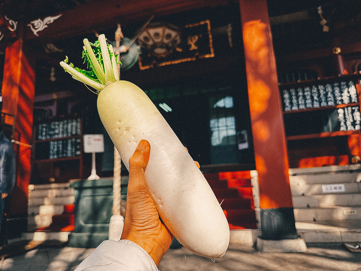 Daikon radish at Matsuchiyama Shoden