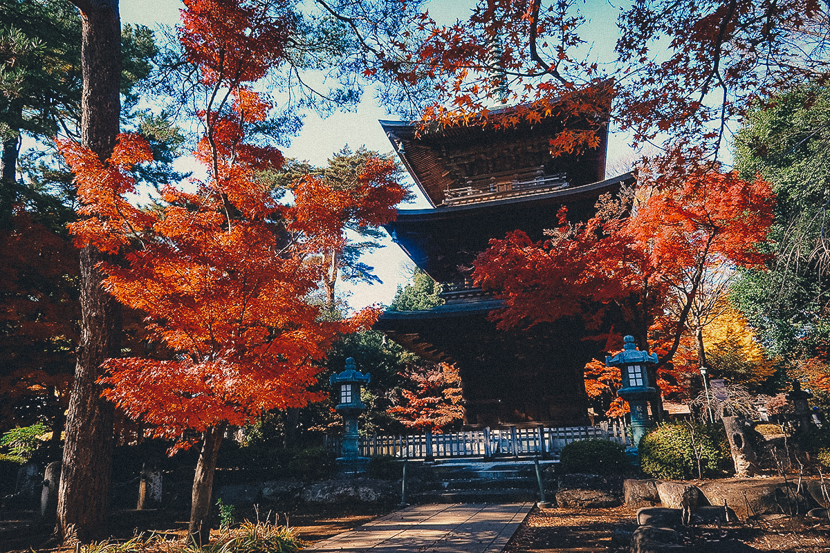 Pagoda at Gotoku-ji
