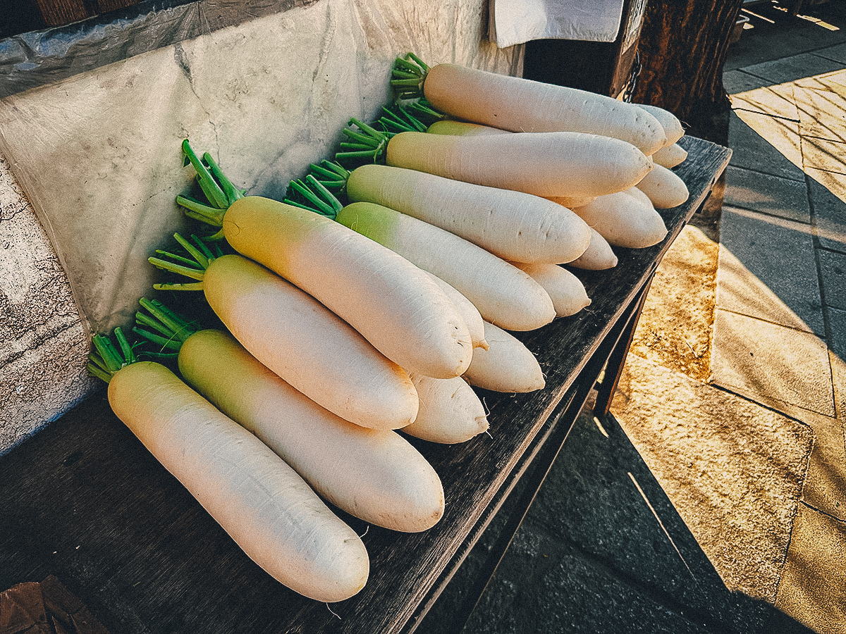Pile of giant daikon radishes