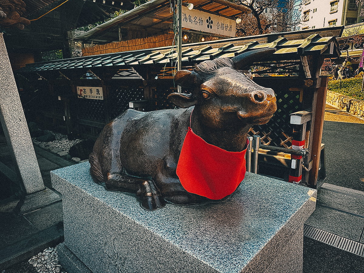Petting ox at Yushima Tenjin Shrine